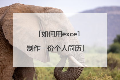 如何用excel制作一份个人简历