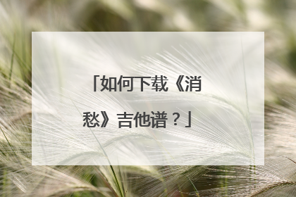 如何下载《消愁》吉他谱？