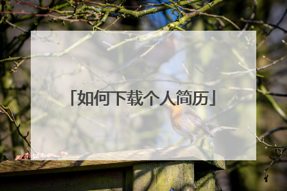 如何下载个人简历