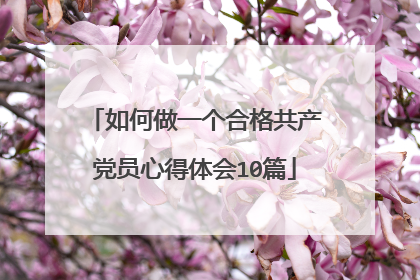 如何做一个合格共产党员心得体会10篇
