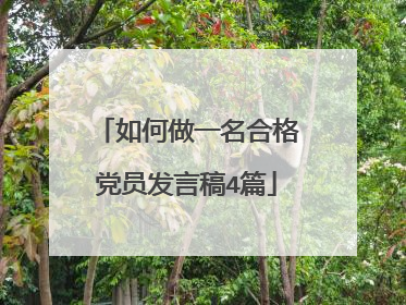 如何做一名合格党员发言稿4篇