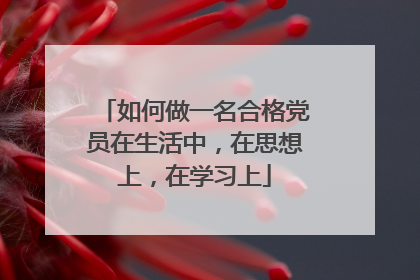 如何做一名合格党员在生活中,在思想上,在学习上