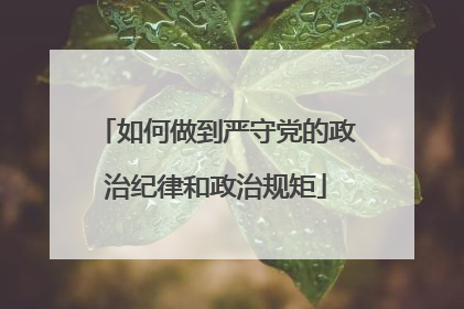 如何做到严守党的政治纪律和政治规矩