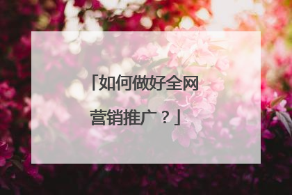 如何做好全网营销推广？