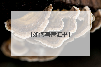 如何写保证书