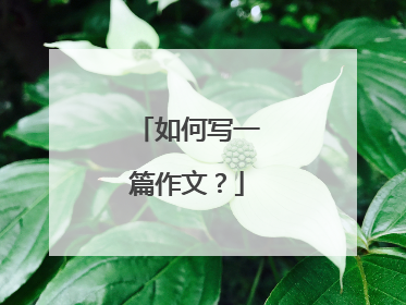 如何写一篇作文?