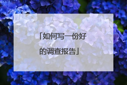 如何写一份好的调查报告