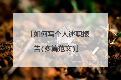 如何写个人述职报告(多篇范文)