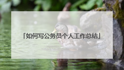 如何写公务员个人工作总结