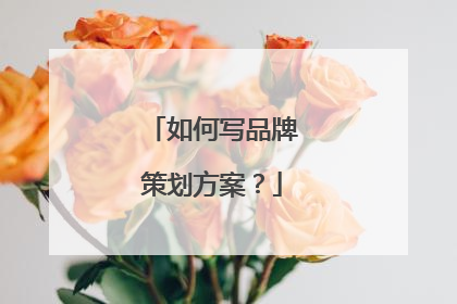 如何写品牌策划方案?