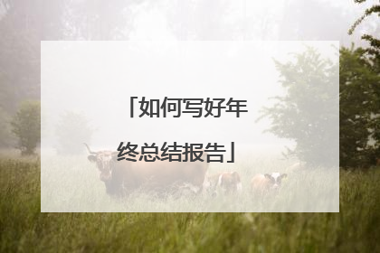 如何写好年终总结报告