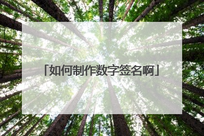 如何制作数字签名啊