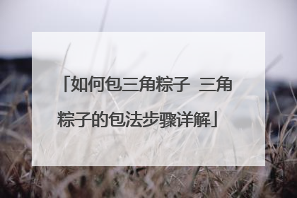 如何包三角粽子 三角粽子的包法步骤详解