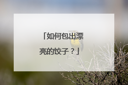 如何包出漂亮的饺子？