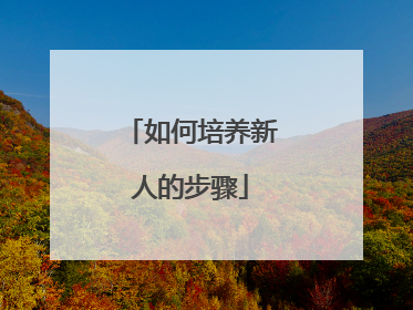 如何培养新人的步骤