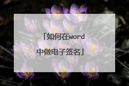 如何在word中做电子签名