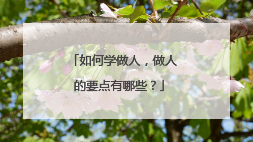如何学做人,做人的要点有哪些?