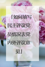 如何填写民主评议党员情况表党内外评议意见