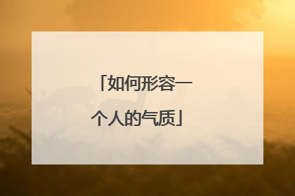 如何形容一个人的气质