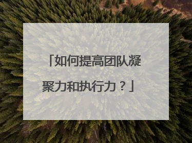 如何提高团队凝聚力和执行力?