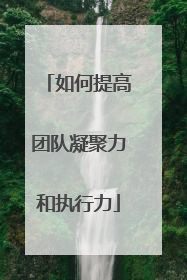 如何提高团队凝聚力和执行力