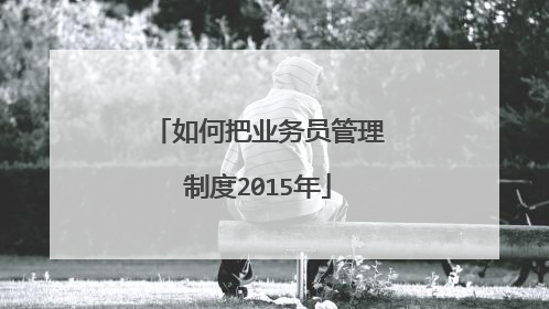 如何把业务员管理制度2015年