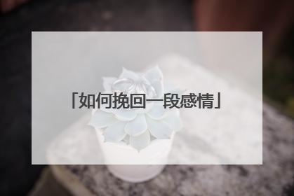 如何挽回一段感情