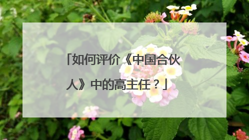 如何评价《中国合伙人》中的高主任？