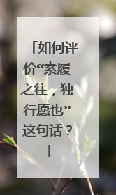 如何评价“素履之往,独行愿也”这句话?