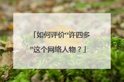 如何评价“许四多”这个网络人物?