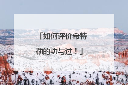 如何评价希特勒的功与过！