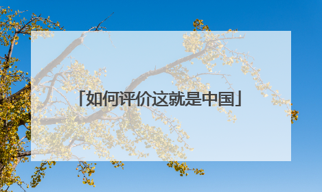 如何评价这就是中国