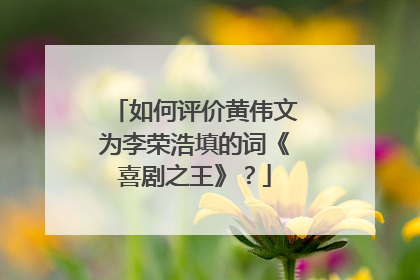 如何评价黄伟文为李荣浩填的词《喜剧之王》？