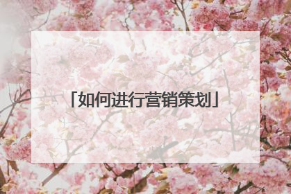 如何进行营销策划