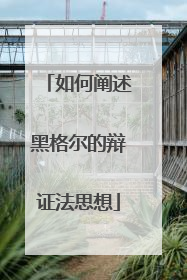 如何阐述黑格尔的辩证法思想