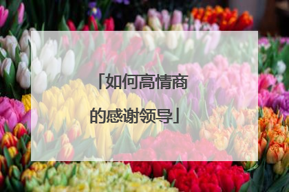 如何高情商的感谢领导