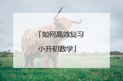 如何高效复习小升初数学