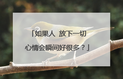 如果人 放下一切 心情会瞬间好很多?