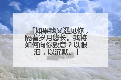 如果我又遇见你，隔着岁月悠长。我将如何向你致意？以眼泪，以沉默。