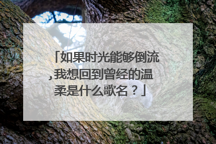 如果时光能够倒流,我想回到曾经的温柔是什么歌名？