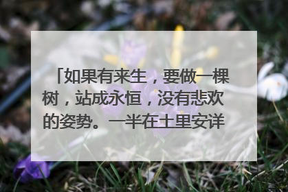 如果有来生,要做一棵树,站成永恒,没有悲欢的姿势。一半在土里安详,一半在风里飞扬。出自三毛哪本书?