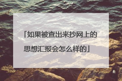 如果被查出来抄网上的思想汇报会怎么样的