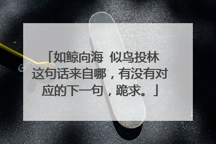 如鲸向海 似鸟投林 这句话来自哪，有没有对应的下一句，跪求。