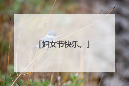 妇女节快乐。