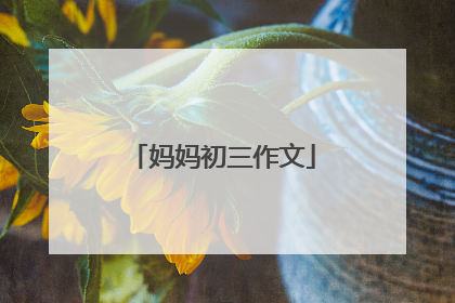 妈妈初三作文