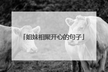 姐妹相聚开心的句子