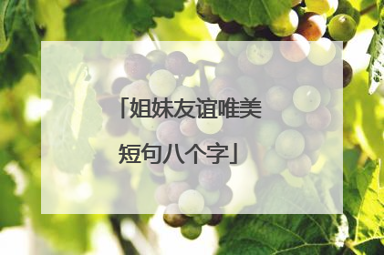 姐妹友谊唯美短句八个字