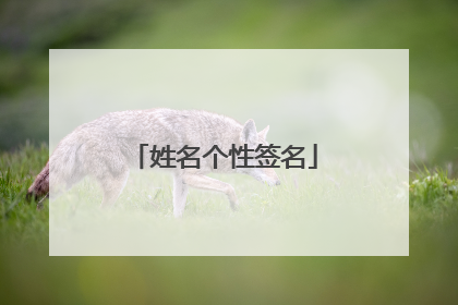 姓名个性签名