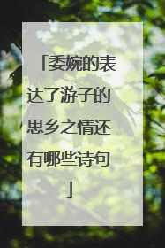 委婉的表达了游子的思乡之情还有哪些诗句