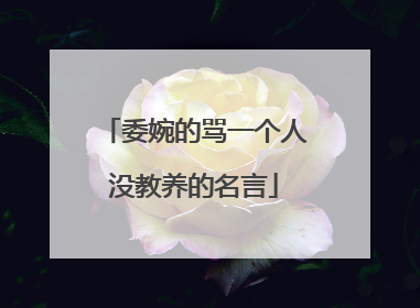 委婉的骂一个人没教养的名言